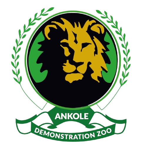 Ankole Zoo
