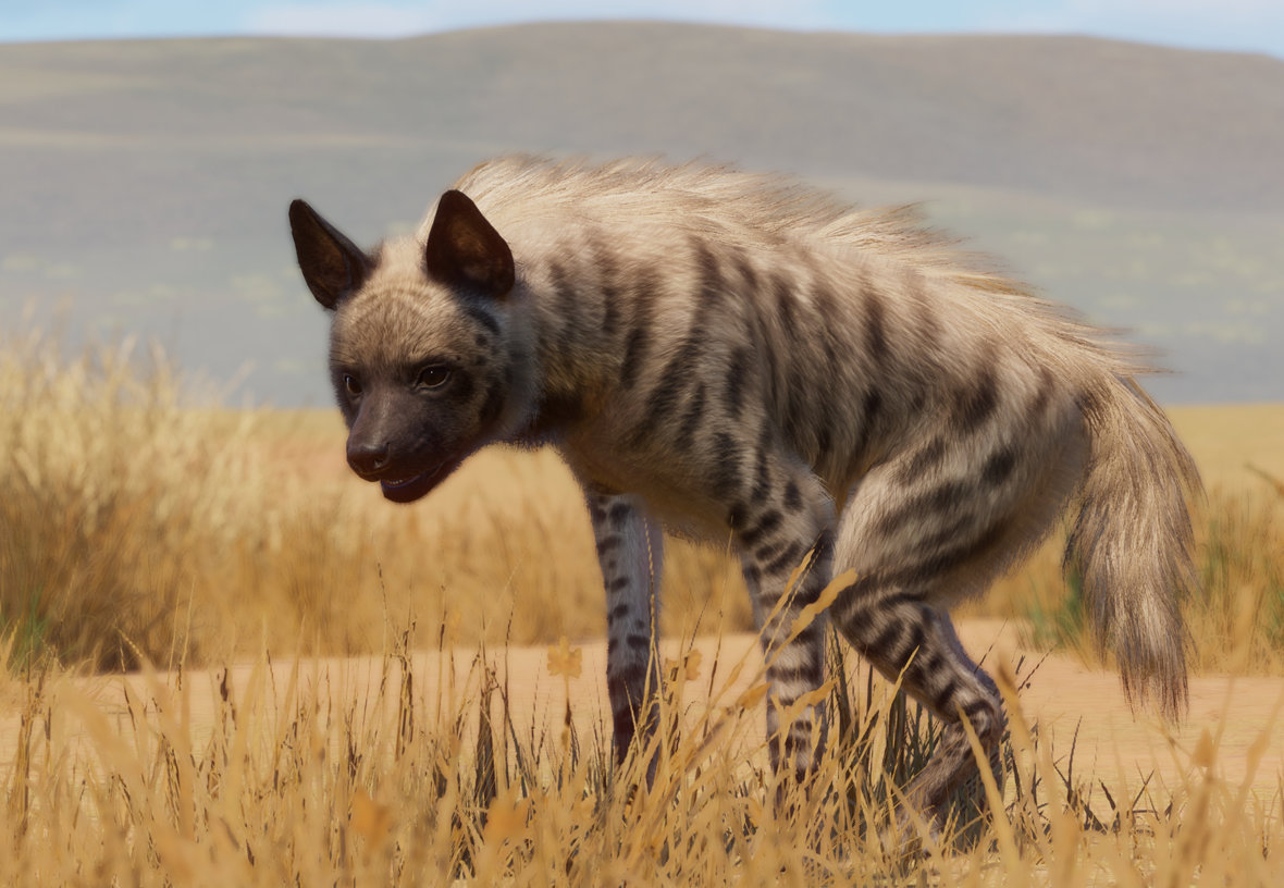 striped-hyena