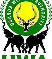 Ankole Demonstration Zoo Ankole Demonstration Zoo